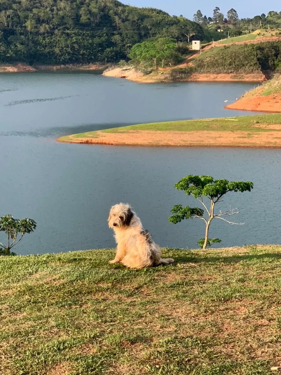 Sítio à venda de 34 ha em Santa Branca, SP, Brasil