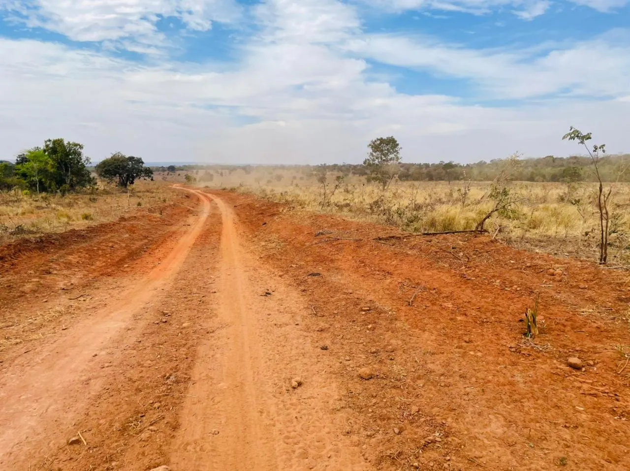 Farm for sale of 2,802 acres in Chapadão do Sul, MS, Brazil