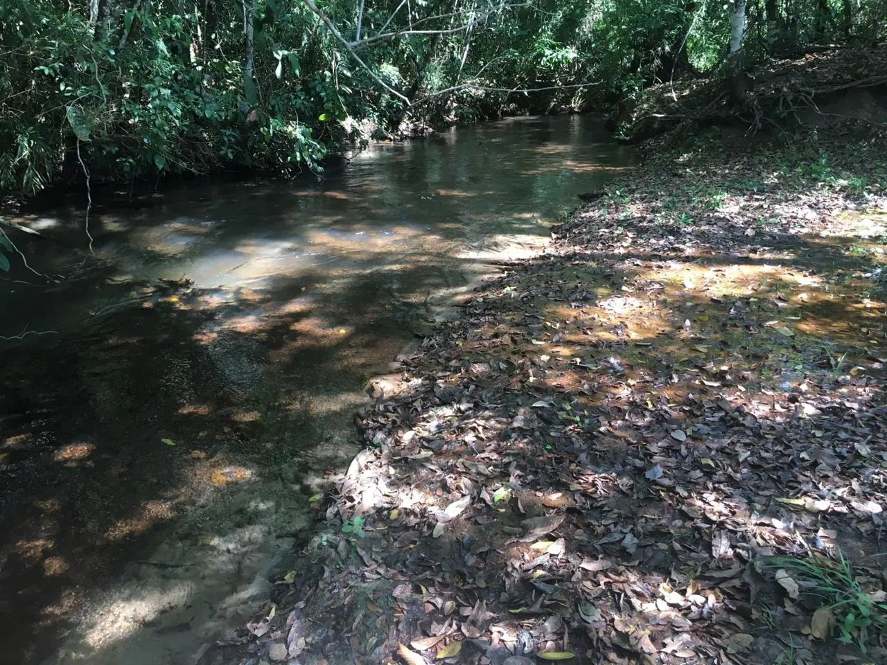 Farm for sale of 2,802 acres in Chapadão do Sul, MS, Brazil