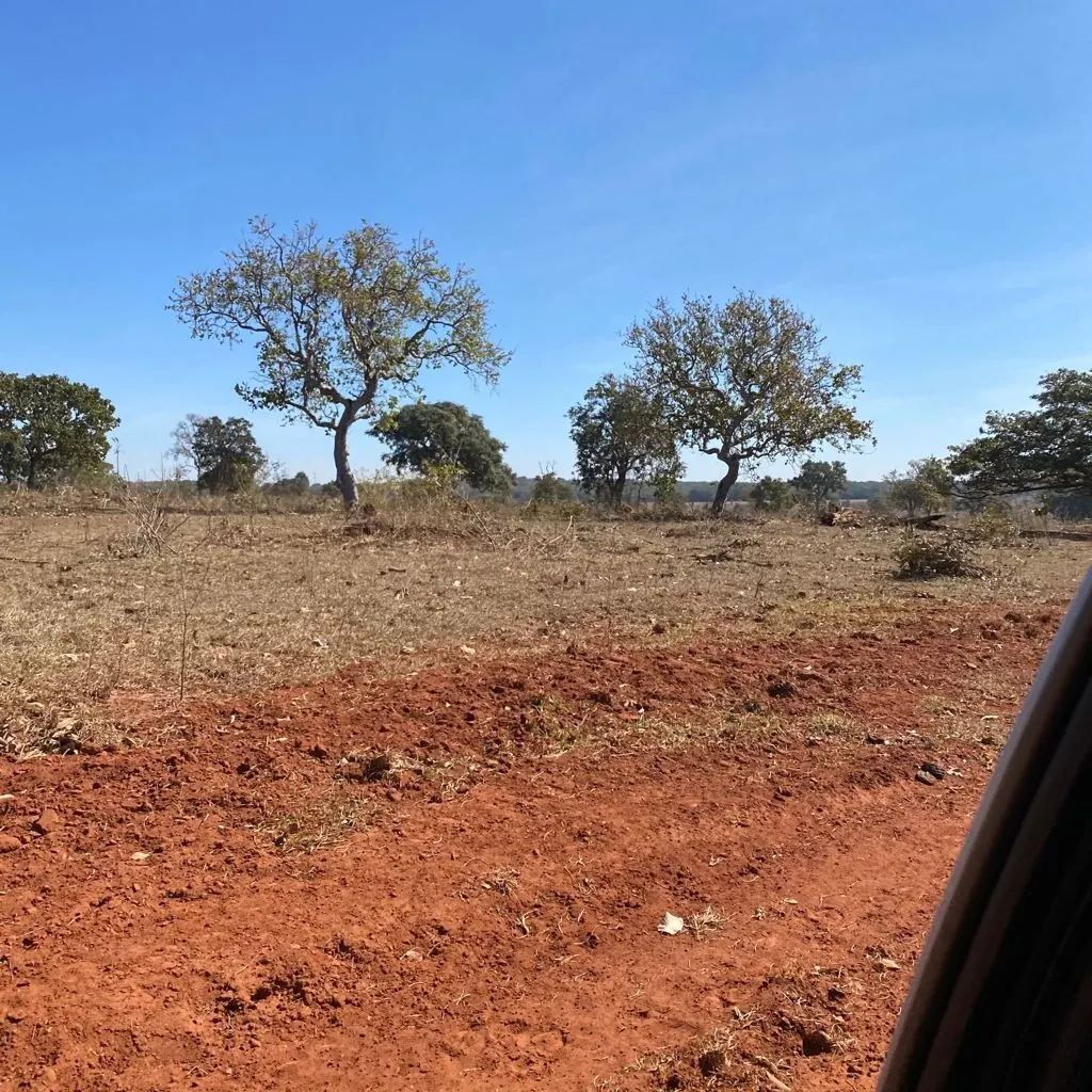 Farm for sale of 2,802 acres in Chapadão do Sul, MS, Brazil