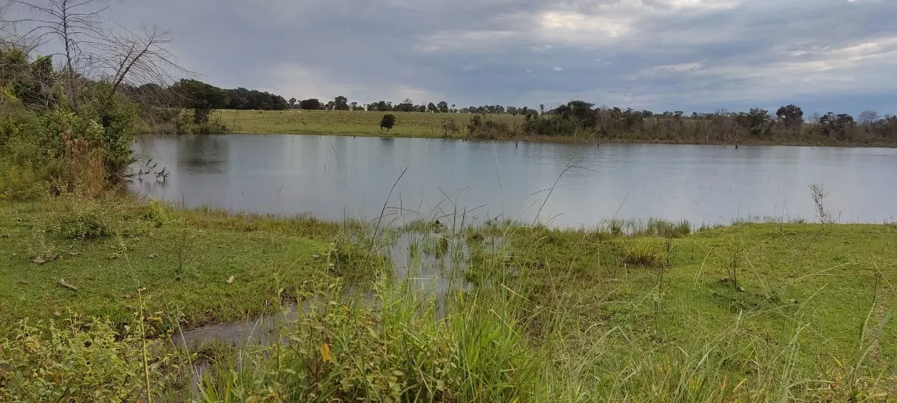 Fazenda à venda de 1.134 ha em Chapadão do Sul, MS, Brasil