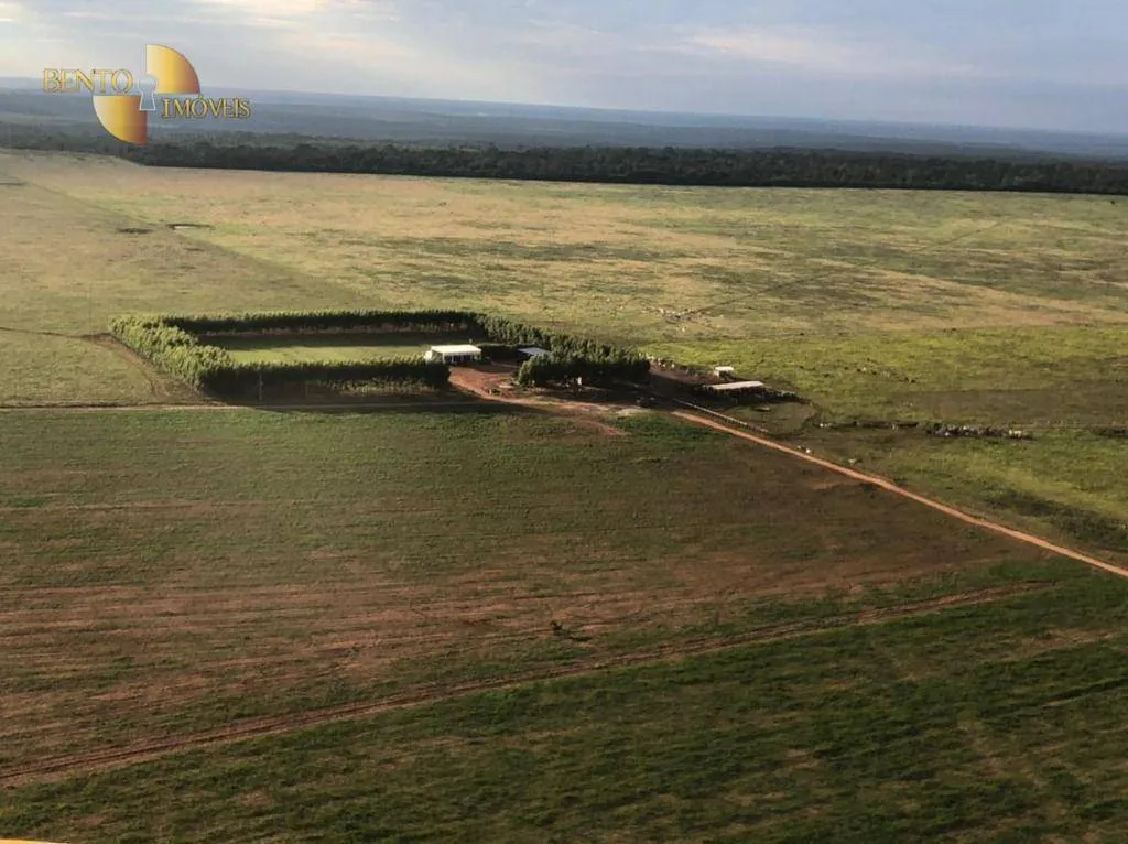 Farm for sale of 8,303 acres in Tesouro, MT, Brazil