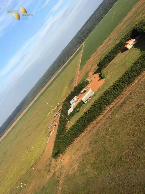 Farm for sale of 8,303 acres in Tesouro, MT, Brazil