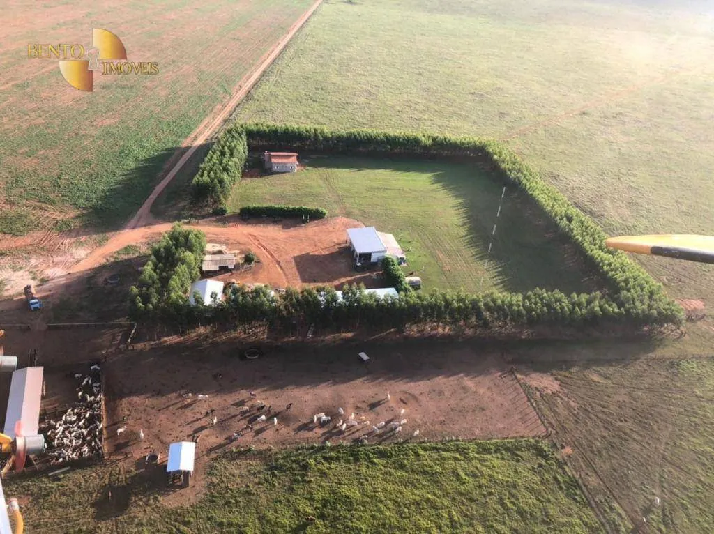 Farm for sale of 8,303 acres in Tesouro, MT, Brazil
