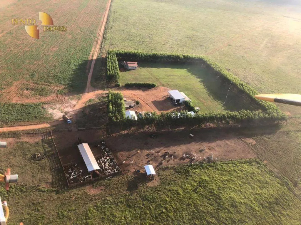 Farm for sale of 8,303 acres in Tesouro, MT, Brazil