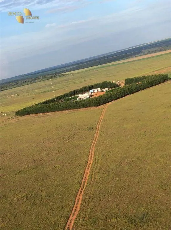 Farm for sale of 8,303 acres in Tesouro, MT, Brazil
