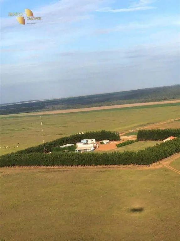 Farm for sale of 8,303 acres in Tesouro, MT, Brazil