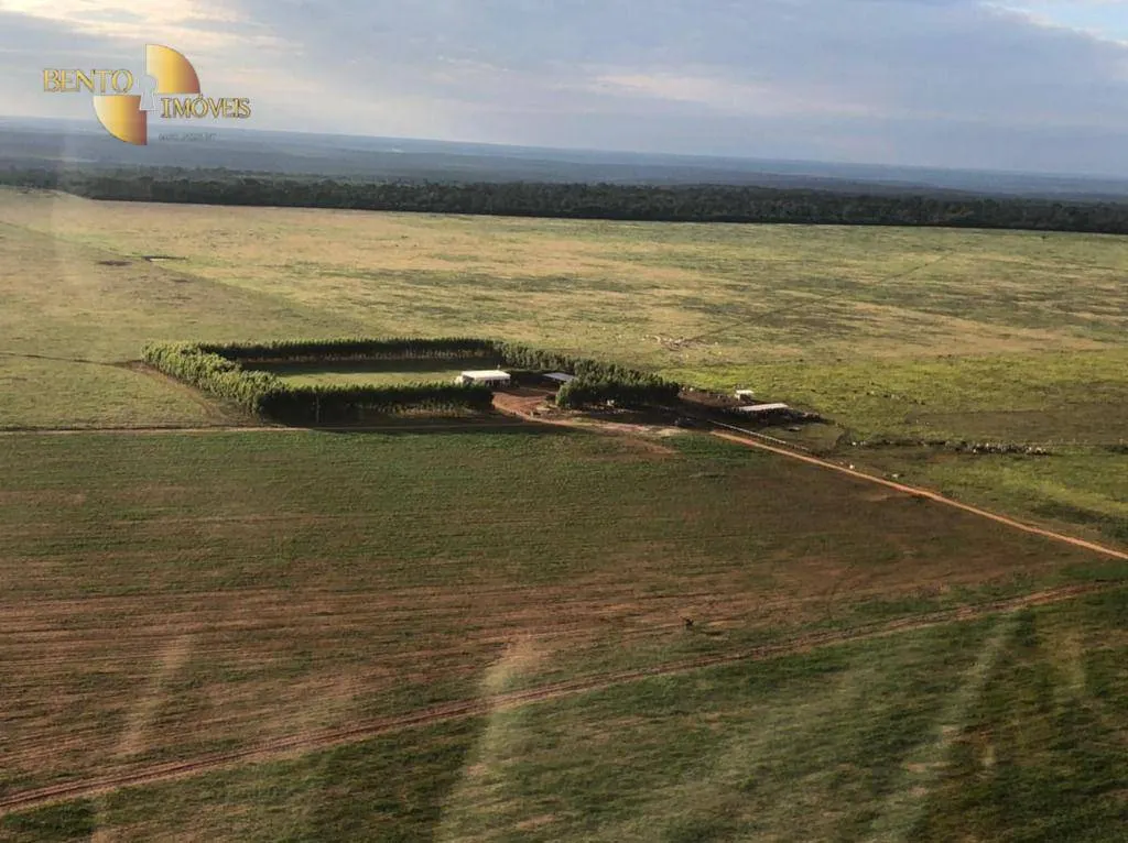 Farm for sale of 8,303 acres in Tesouro, MT, Brazil