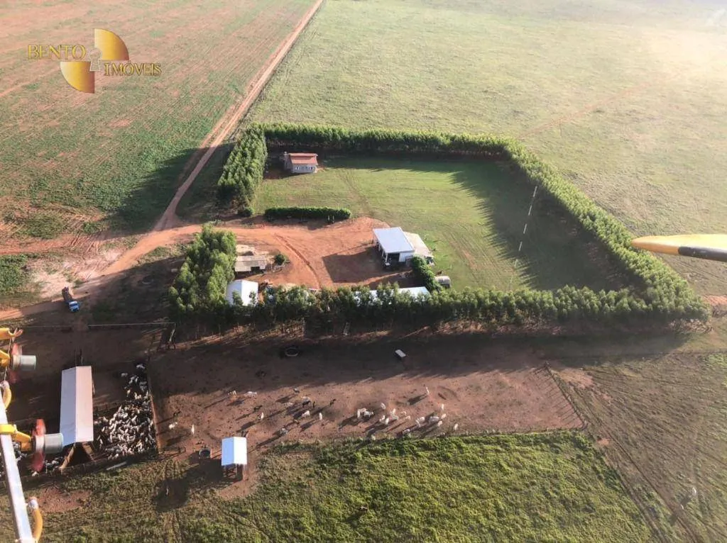 Farm for sale of 8,303 acres in Tesouro, MT, Brazil