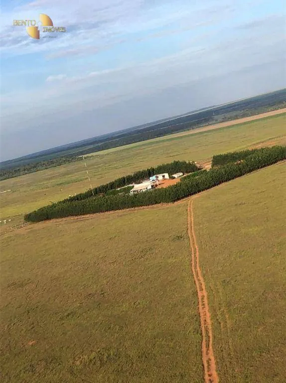 Farm for sale of 8,303 acres in Tesouro, MT, Brazil