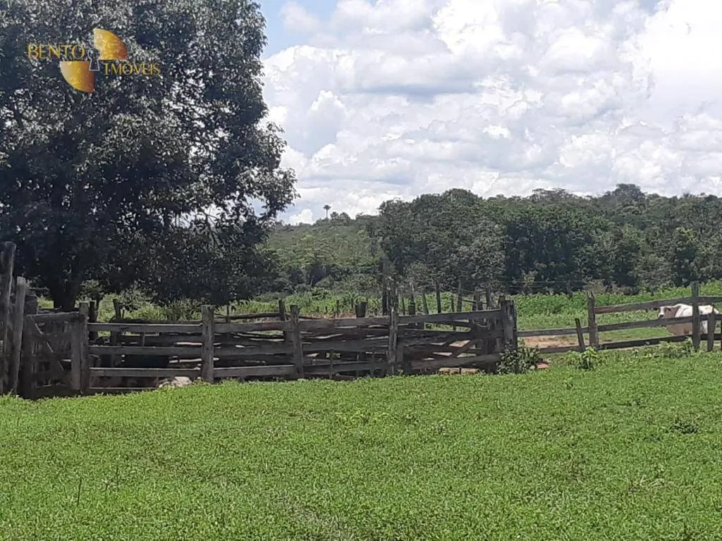Fazenda à venda de 1.484 ha em Paranatinga, MT, Brasil