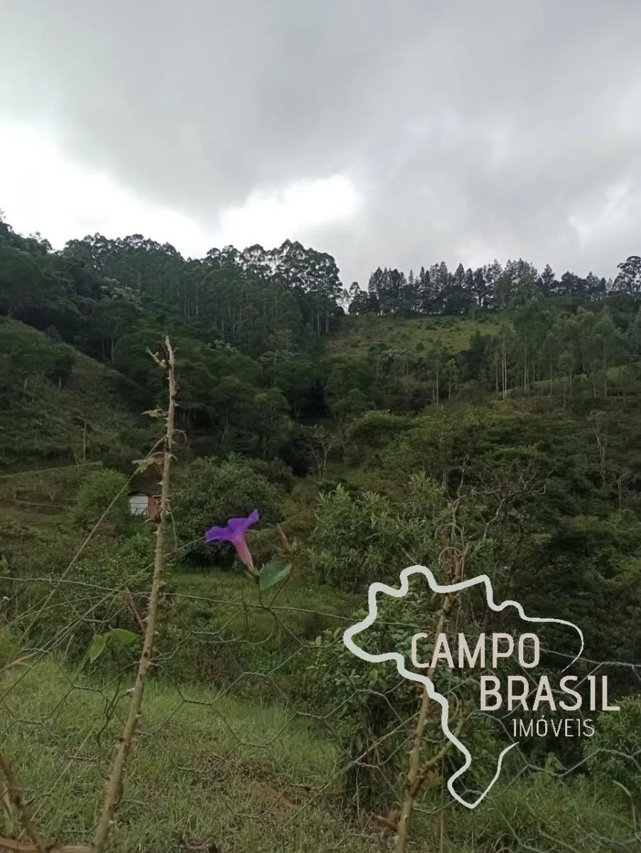 Sítio à venda de 6 ha em Monteiro Lobato, SP, Brasil