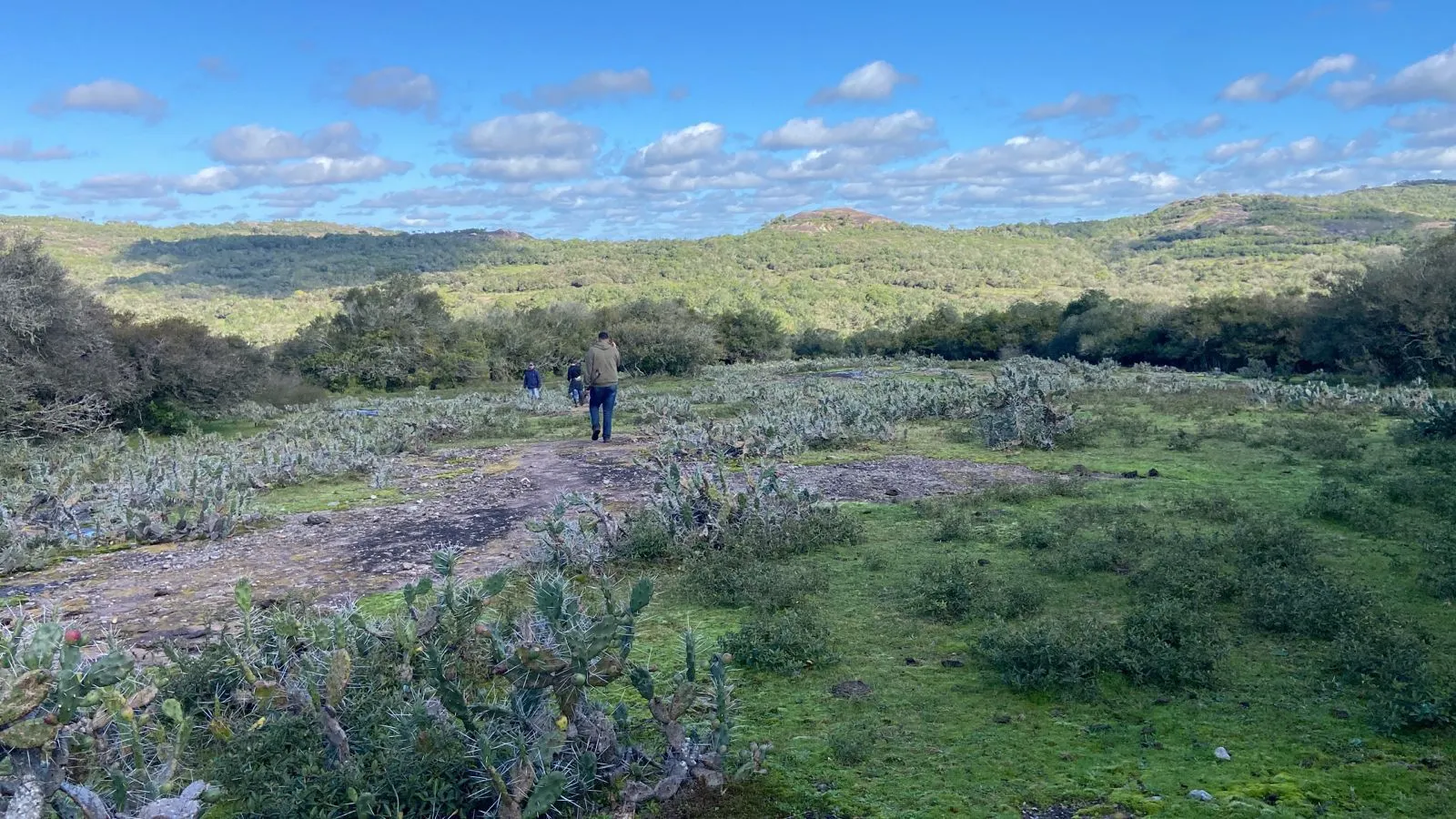 Fazenda à venda de 175 ha em Pinheiro Machado, RS, Brasil