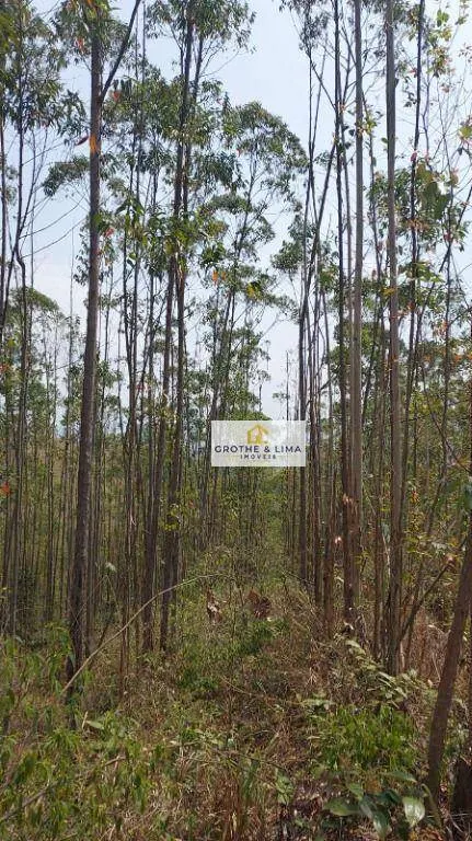 Fazenda à venda de 290 ha em Pindamonhangaba, SP, Brasil
