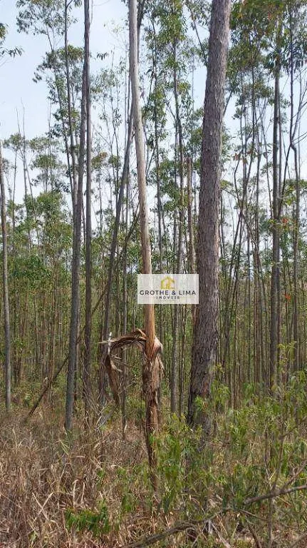 Fazenda à venda de 290 ha em Pindamonhangaba, SP, Brasil