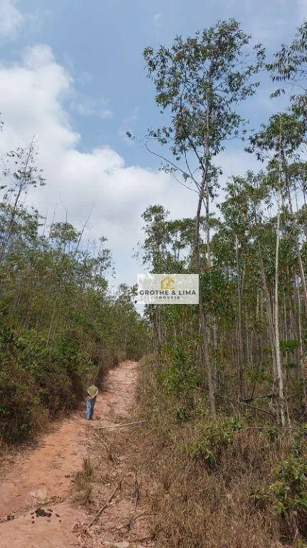 Fazenda à venda de 290 ha em Pindamonhangaba, SP, Brasil