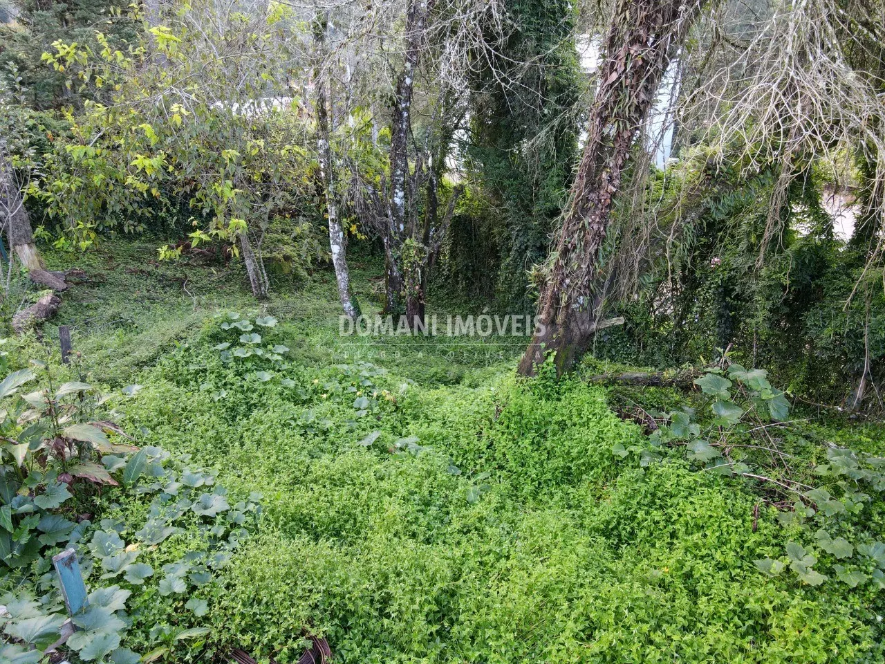 Terreno à venda de 740 m² em Campos do Jordão, SP, Brasil