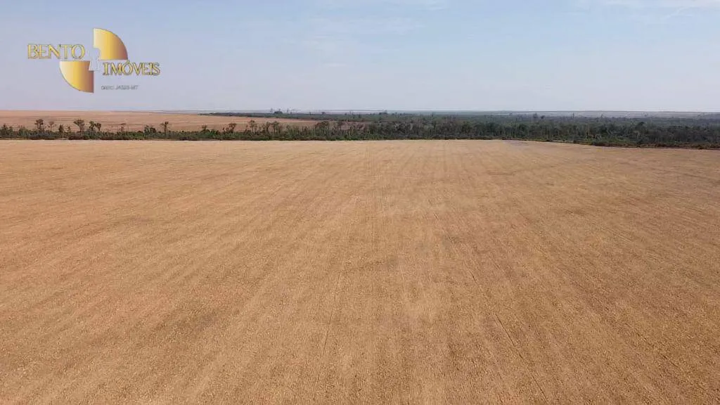 Fazenda à venda de 2.900 ha em Feliz Natal, MT, Brasil