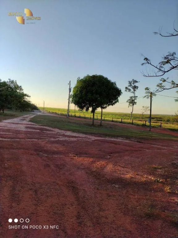 Fazenda à venda de 2.900 ha em Feliz Natal, MT, Brasil
