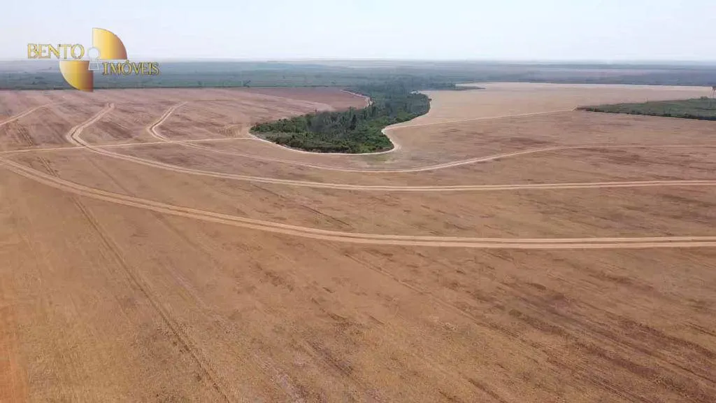 Fazenda à venda de 2.900 ha em Feliz Natal, MT, Brasil