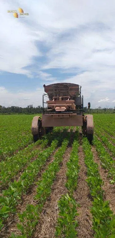 Fazenda à venda de 2.900 ha em Feliz Natal, MT, Brasil