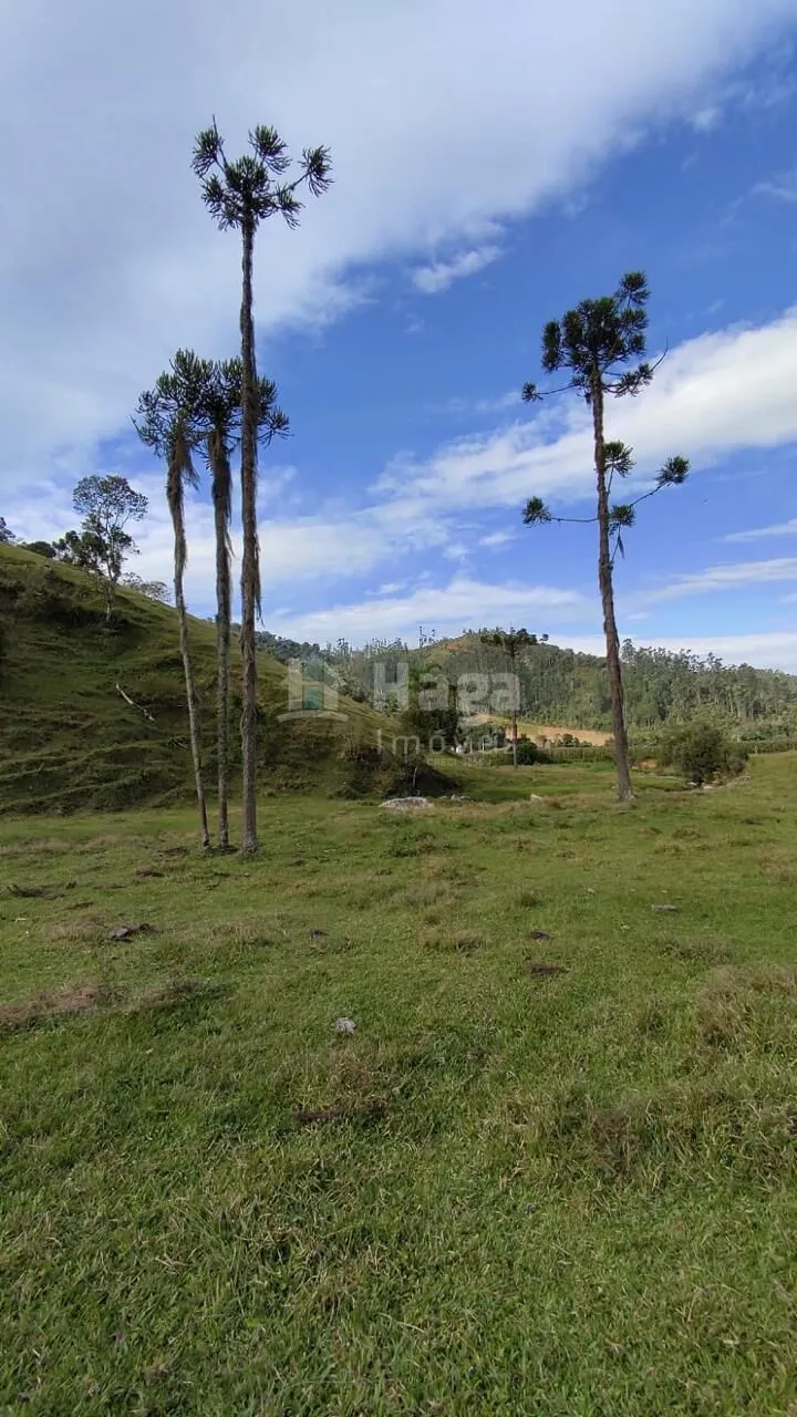 Country home for sale of 25 acres in Angelina, SC, Brazil