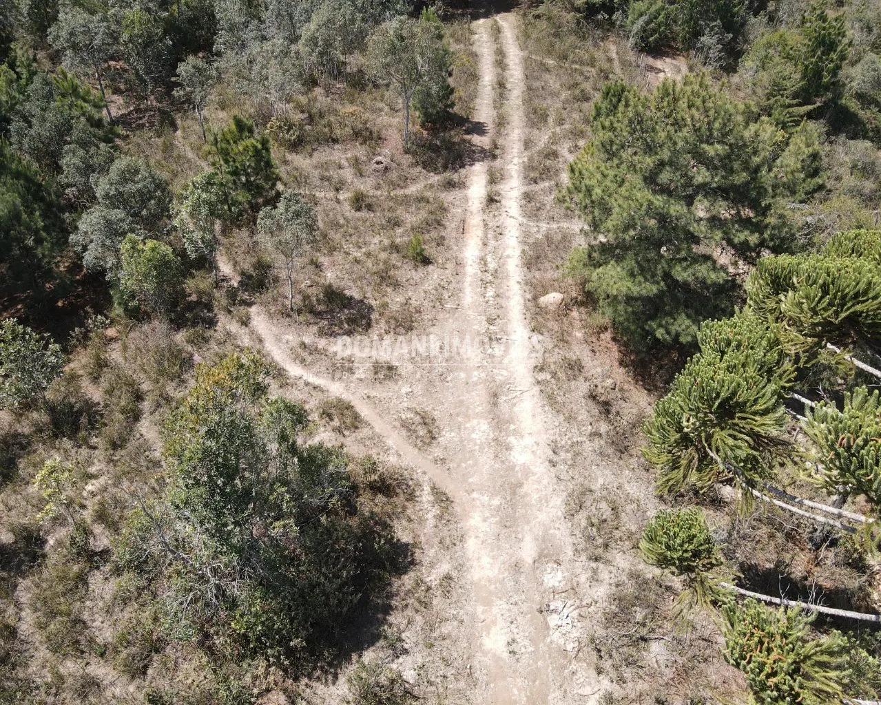 Terreno à venda de 2.850 m² em Campos do Jordão, SP, Brasil