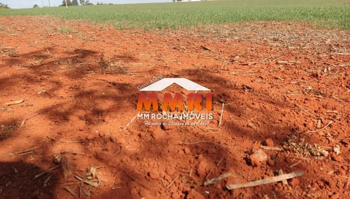 Fazenda à venda de 910 ha em Rosana, SP, Brasil