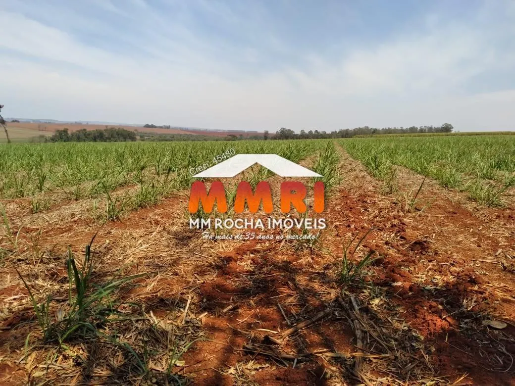 Fazenda à venda de 910 ha em Rosana, SP, Brasil