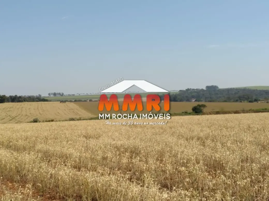 Fazenda à venda de 910 ha em Rosana, SP, Brasil