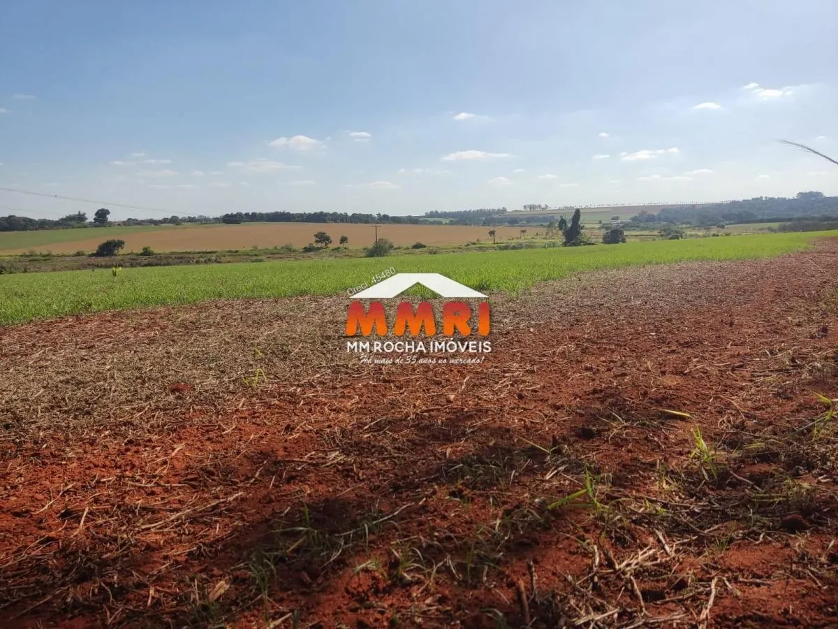 Fazenda à venda de 910 ha em Rosana, SP, Brasil