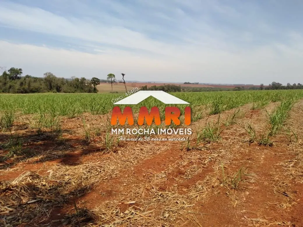 Fazenda à venda de 910 ha em Rosana, SP, Brasil