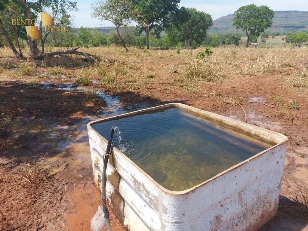 Fazenda à venda de 800 ha em Chapada dos Guimarães, MT, Brasil