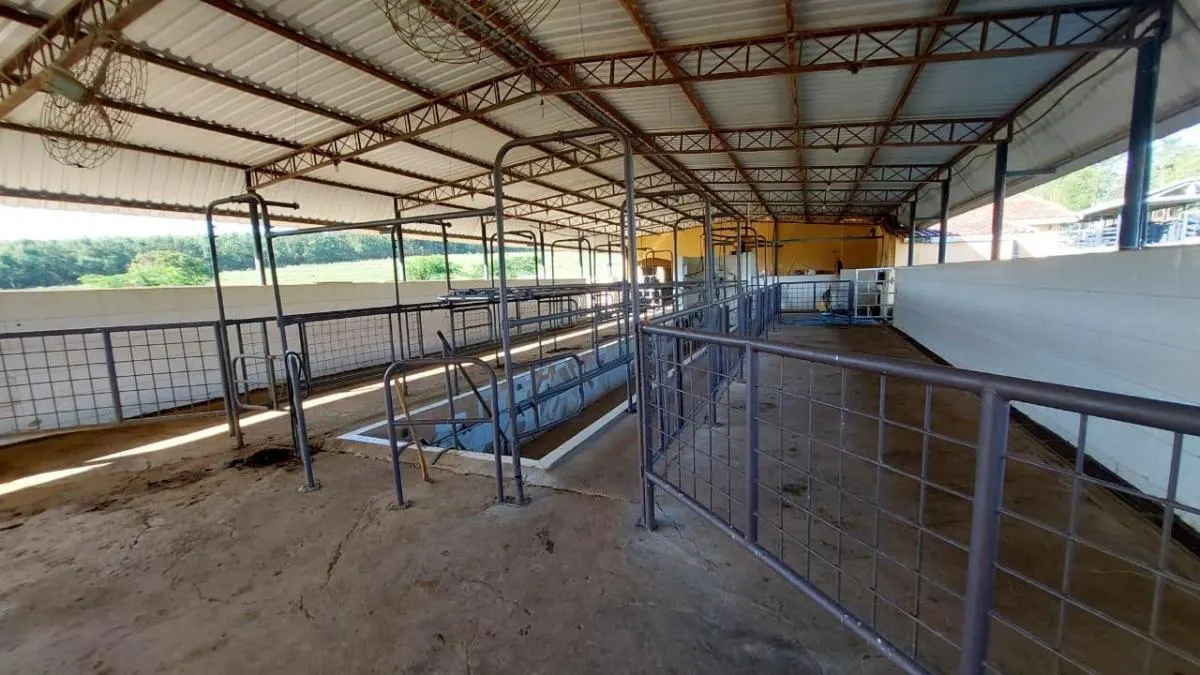 Fazenda à venda de 163 ha em Bauru, SP, Brasil
