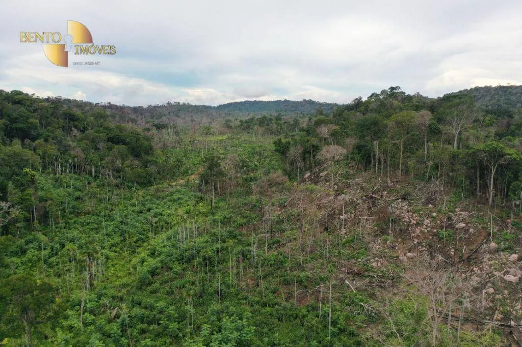 Farm for sale of 17,342 acres in Aripuanã, MT, Brazil