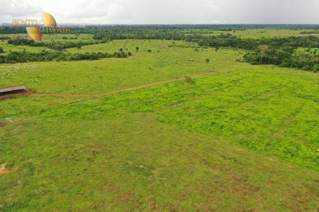 Farm for sale of 17,342 acres in Aripuanã, MT, Brazil