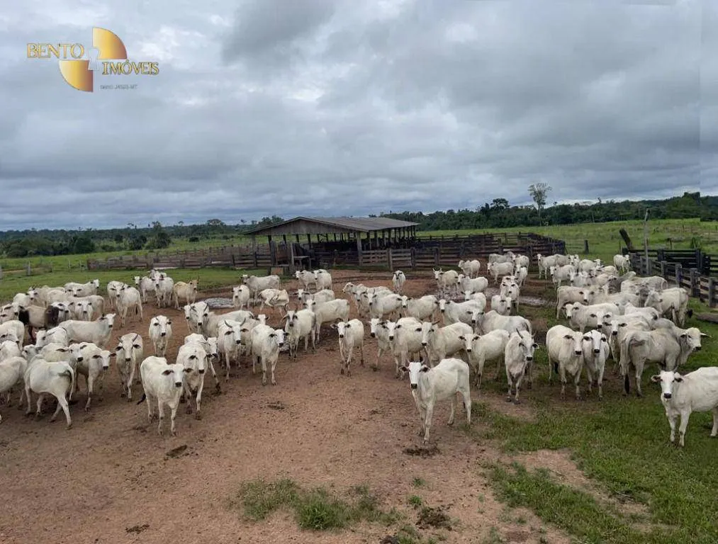 Farm for sale of 17,342 acres in Aripuanã, MT, Brazil