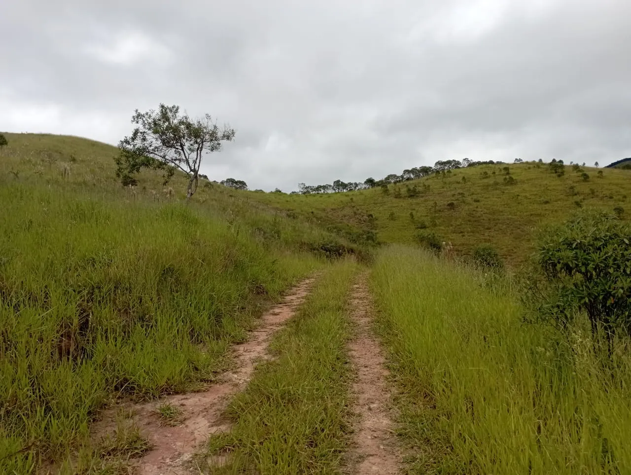 Fazenda à venda de 98 ha em Liberdade, MG, Brasil