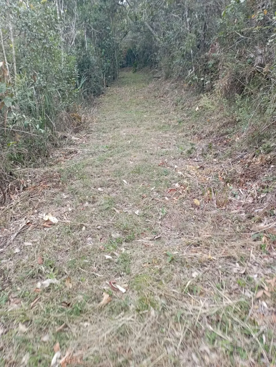 Fazenda à venda de 98 ha em Liberdade, MG, Brasil
