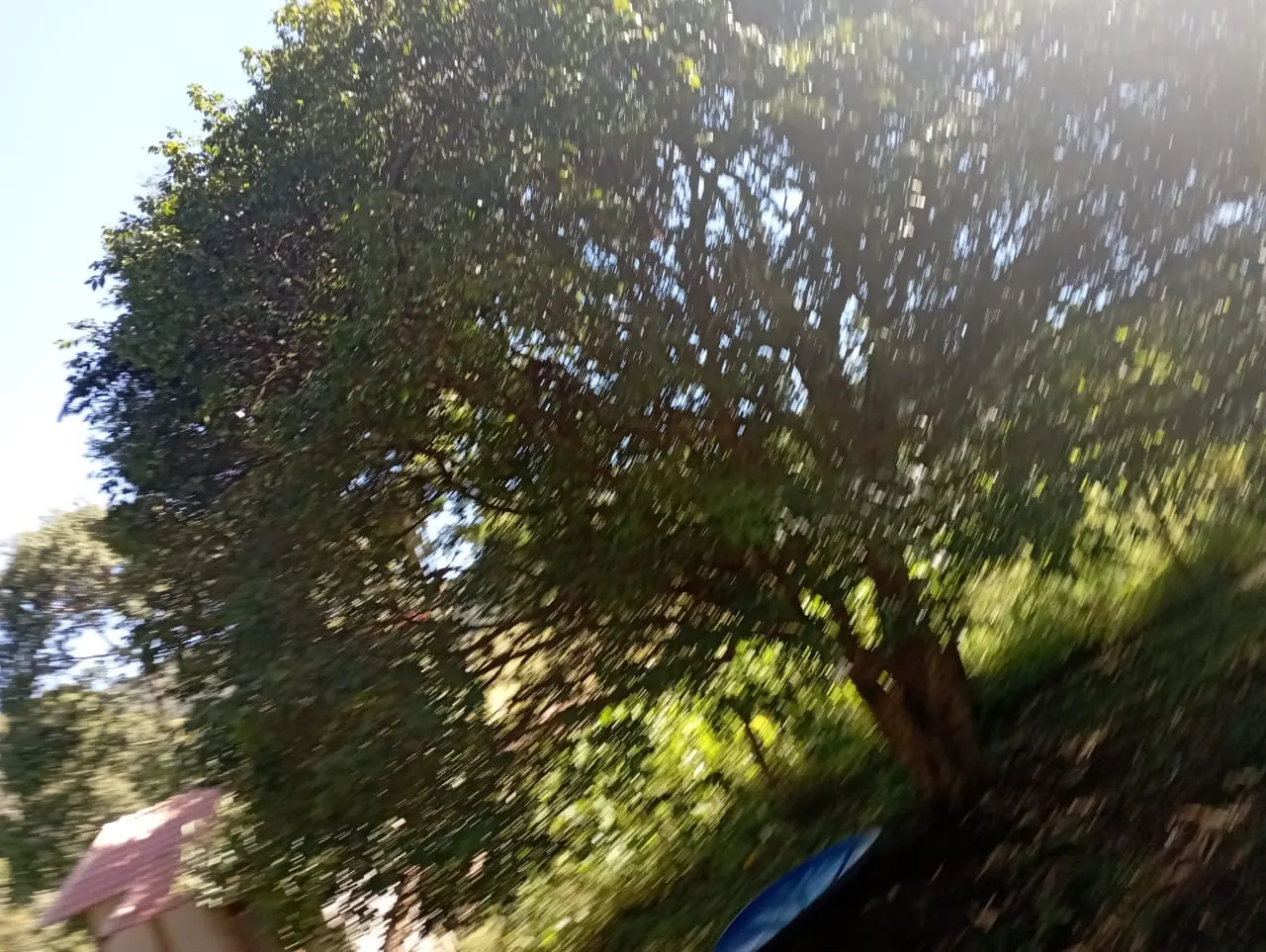 Fazenda à venda de 98 ha em Liberdade, MG, Brasil