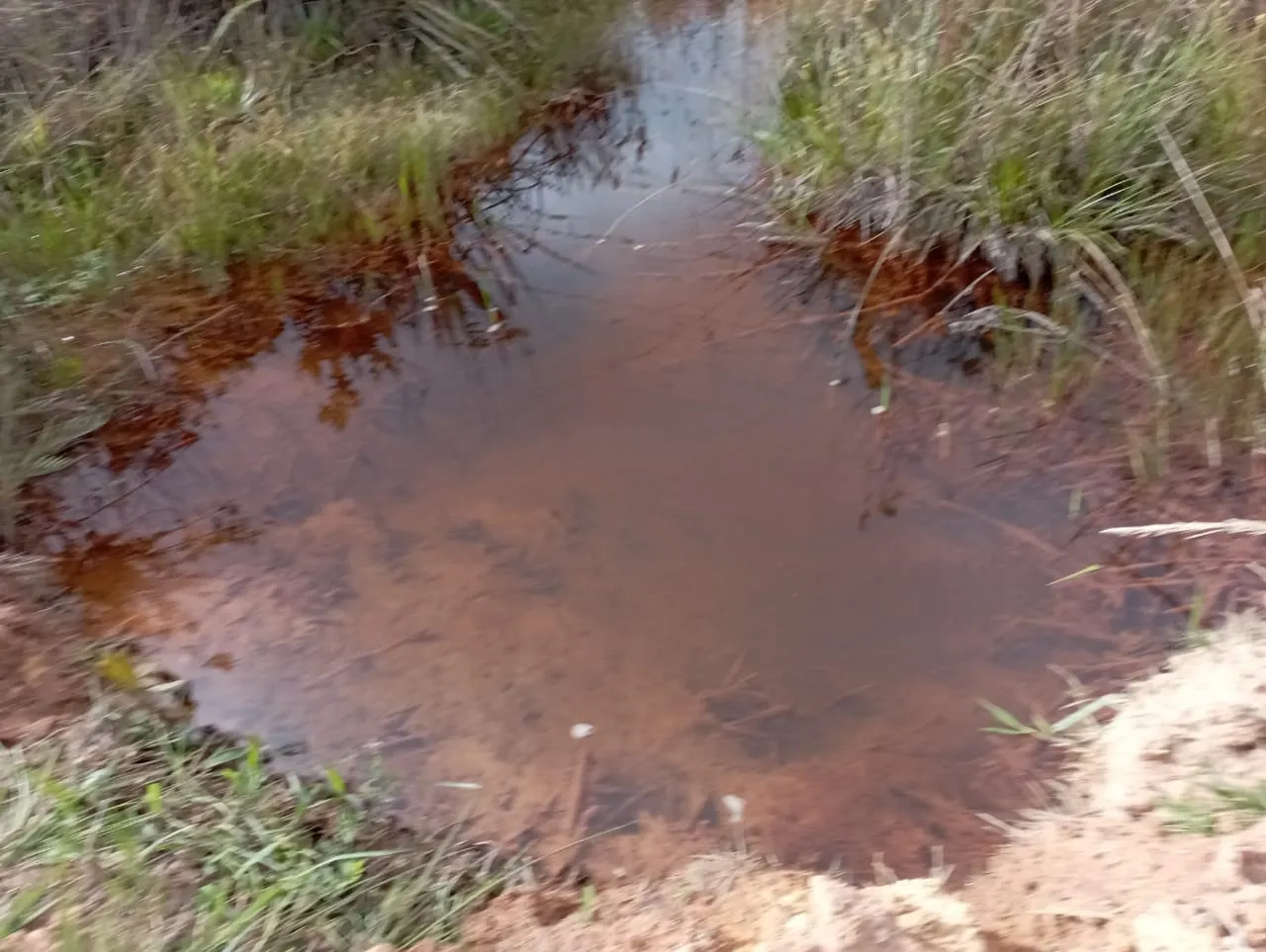 Fazenda à venda de 98 ha em Liberdade, MG, Brasil