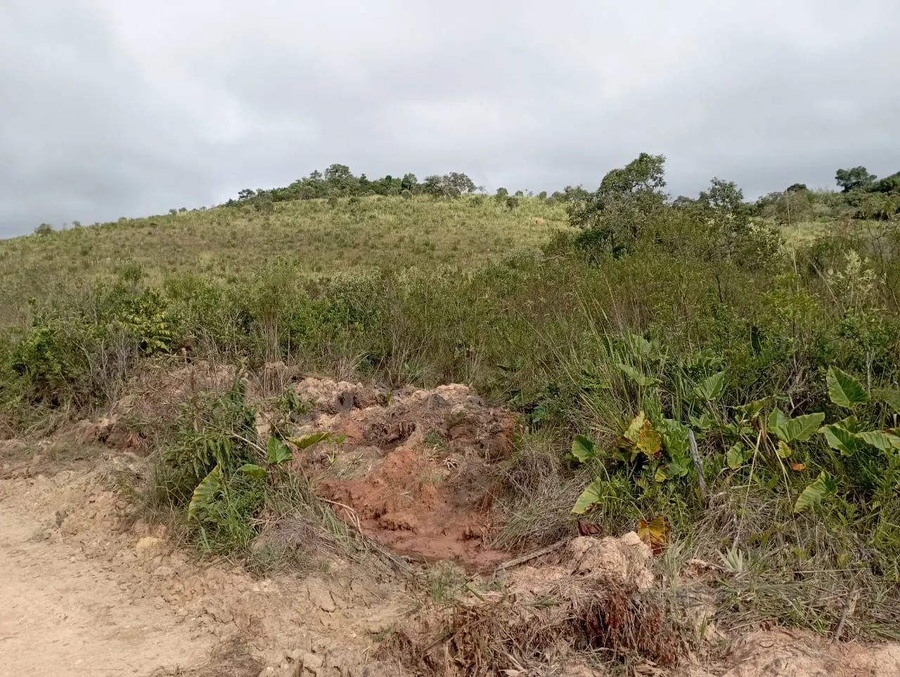 Fazenda à venda de 98 ha em Liberdade, MG, Brasil