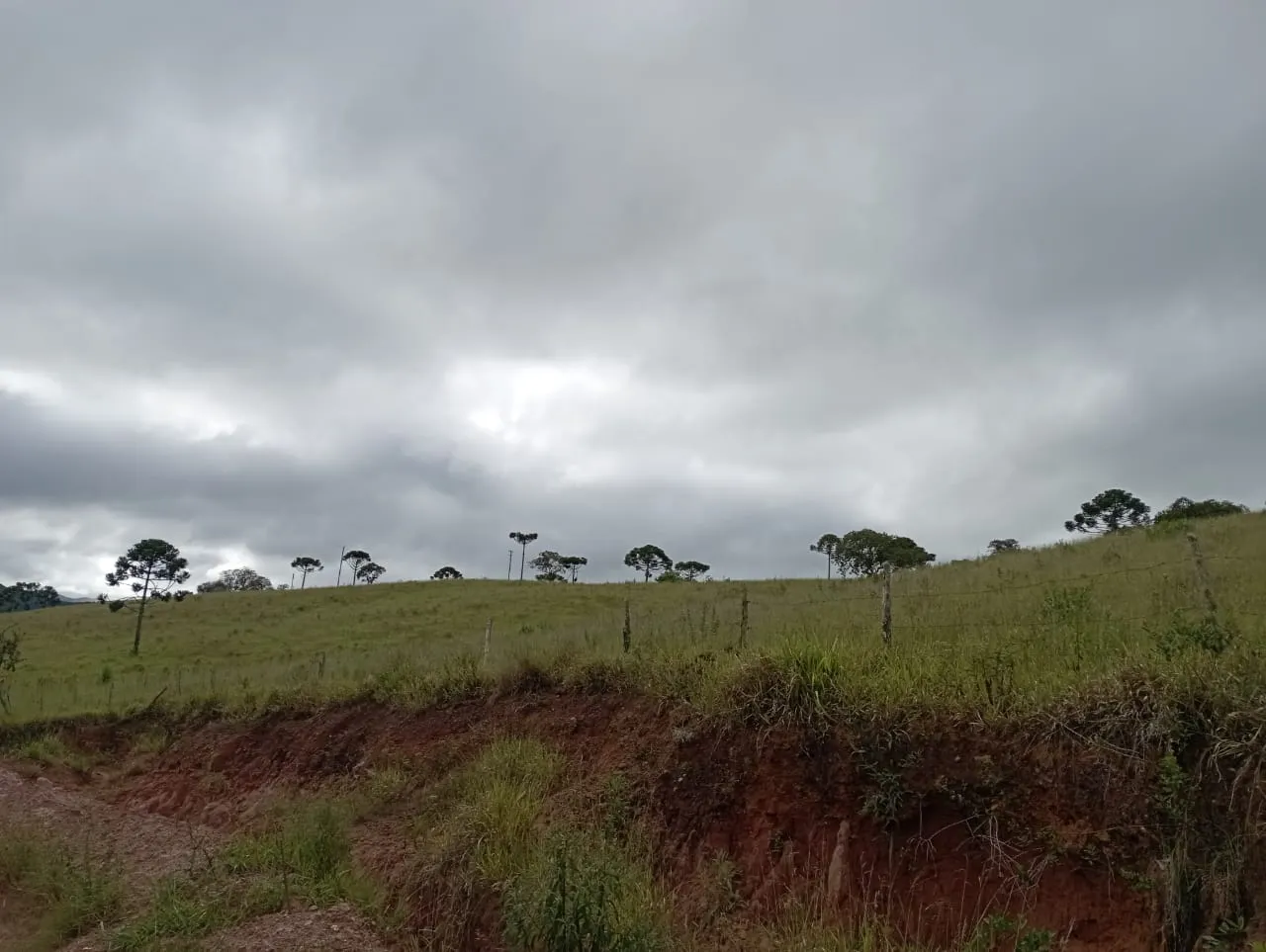 Fazenda à venda de 98 ha em Liberdade, MG, Brasil