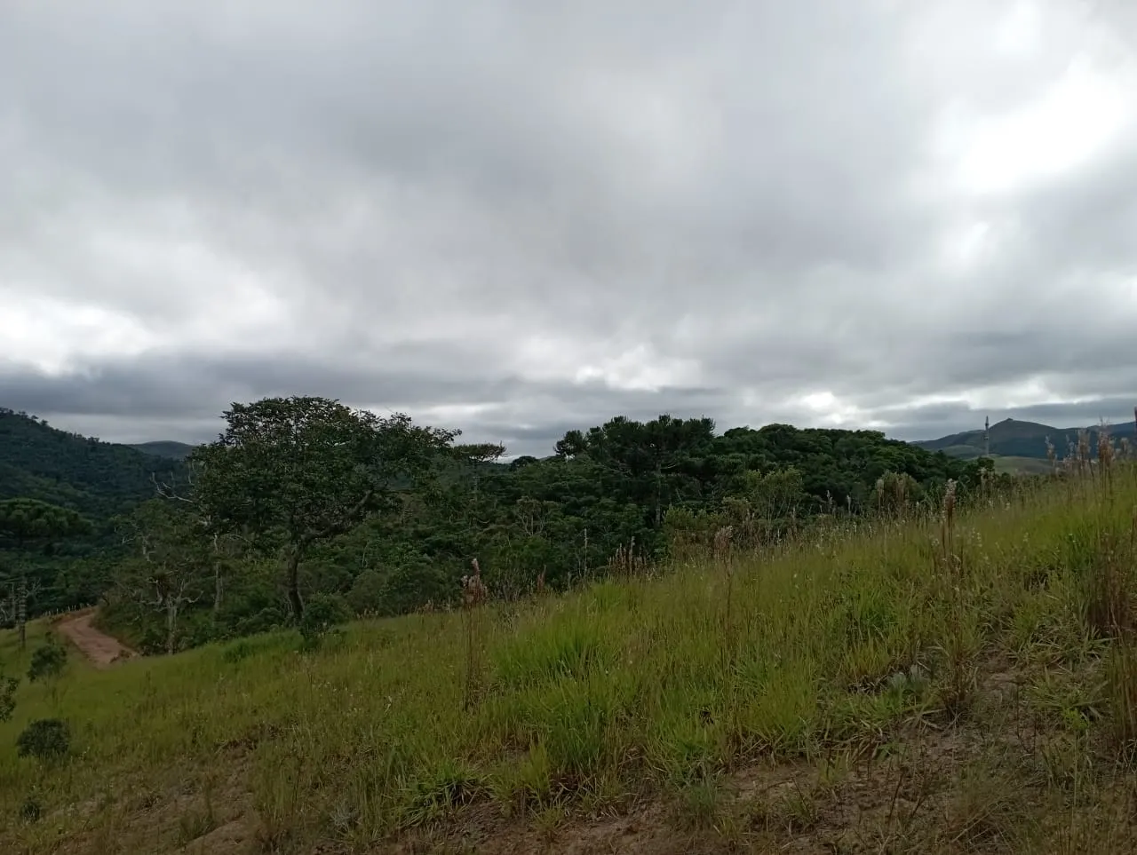 Fazenda à venda de 98 ha em Liberdade, MG, Brasil