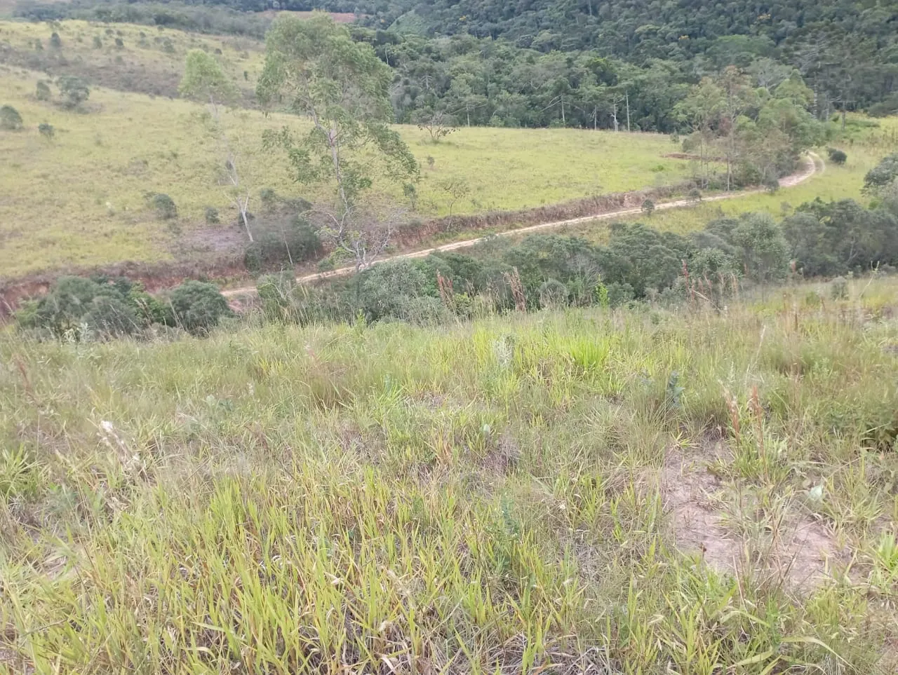 Fazenda à venda de 98 ha em Liberdade, MG, Brasil