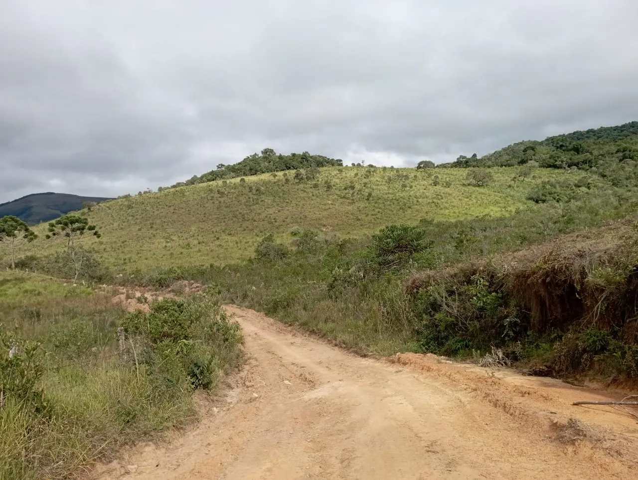 Fazenda à venda de 98 ha em Liberdade, MG, Brasil
