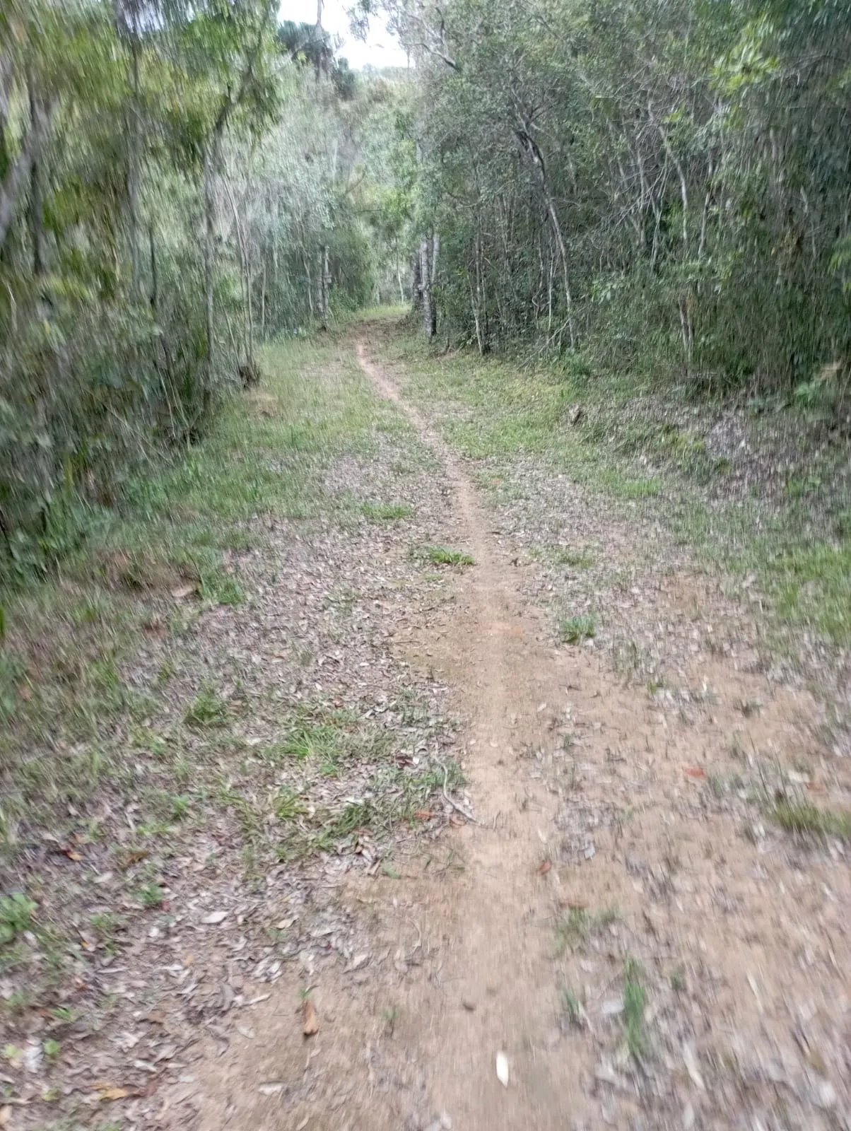 Fazenda à venda de 98 ha em Liberdade, MG, Brasil