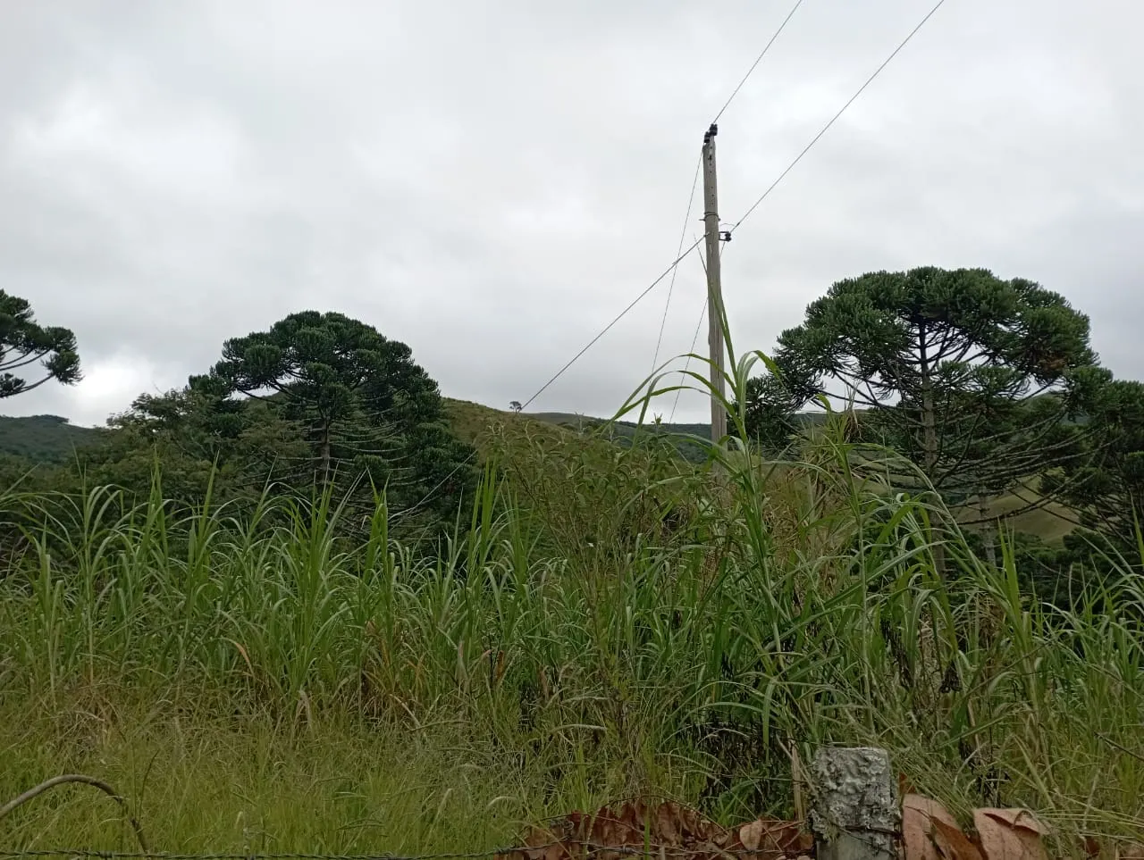 Fazenda à venda de 98 ha em Liberdade, MG, Brasil