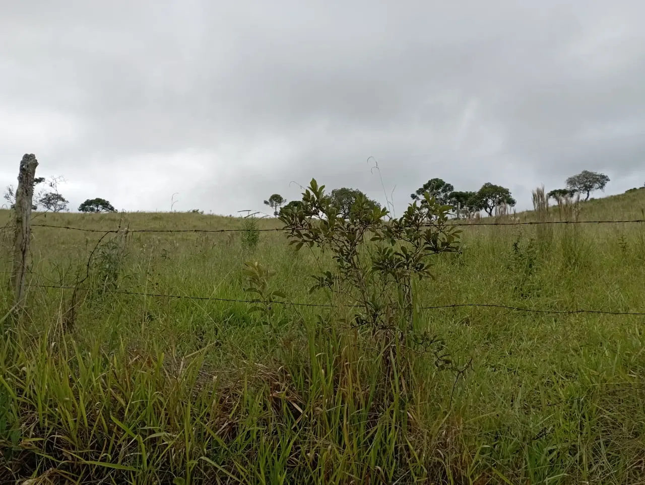Fazenda à venda de 98 ha em Liberdade, MG, Brasil