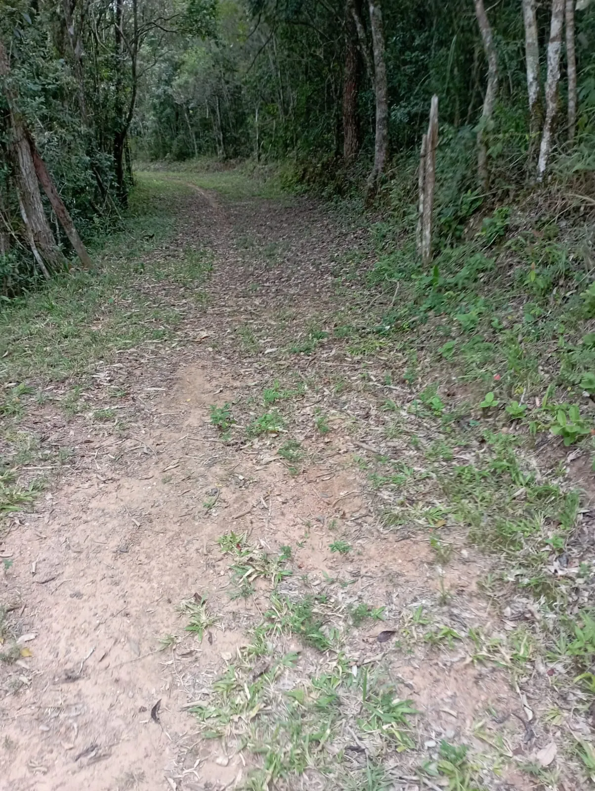 Fazenda à venda de 98 ha em Liberdade, MG, Brasil
